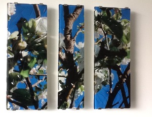 Thumb greet glas scholten 1